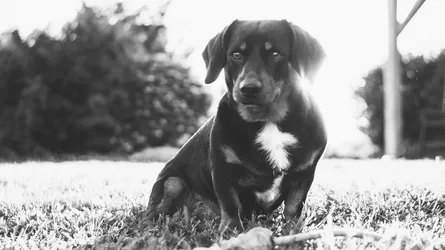 HTC 7 Mozart: Всё, что у меня осталось от той жизни